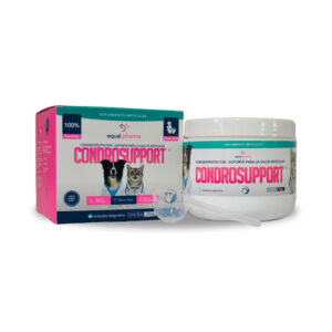 CONDROSUPPORT